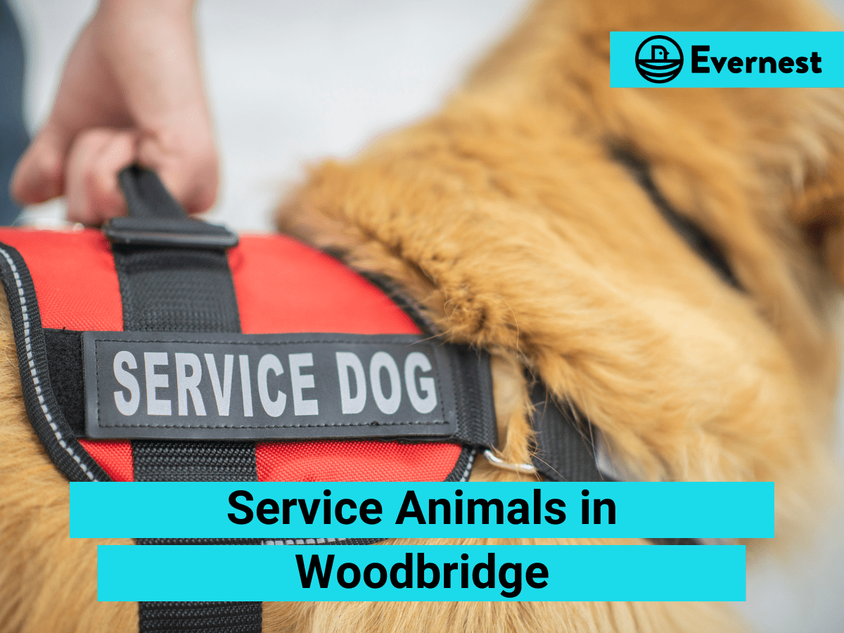 Service Animals: Everything Landlords Need to Know in Woodbridge, Virginia